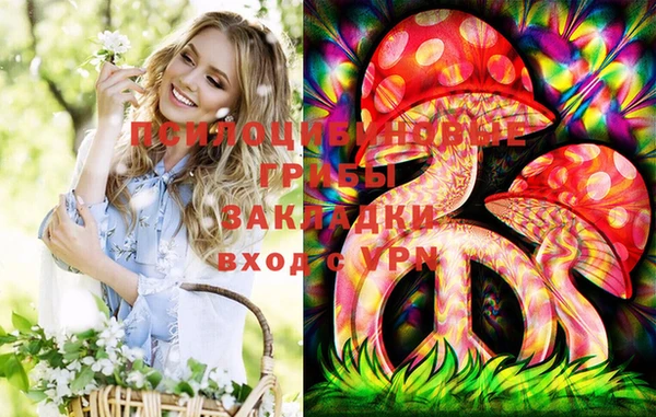 сатива Гусев
