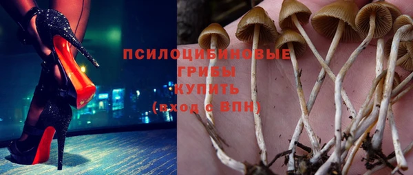сатива Гусев