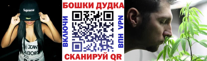 Купить где  Истра  Каннабис ГИДРОПОН 